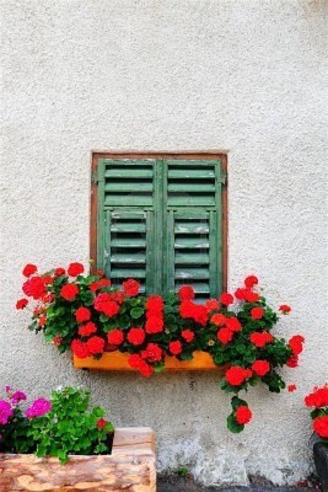 Italian Window Boxes and Planters 